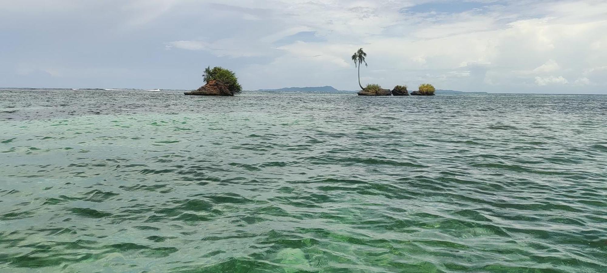 Bambu Lounge Bocas Hostel Bocas Town Dış mekan fotoğraf