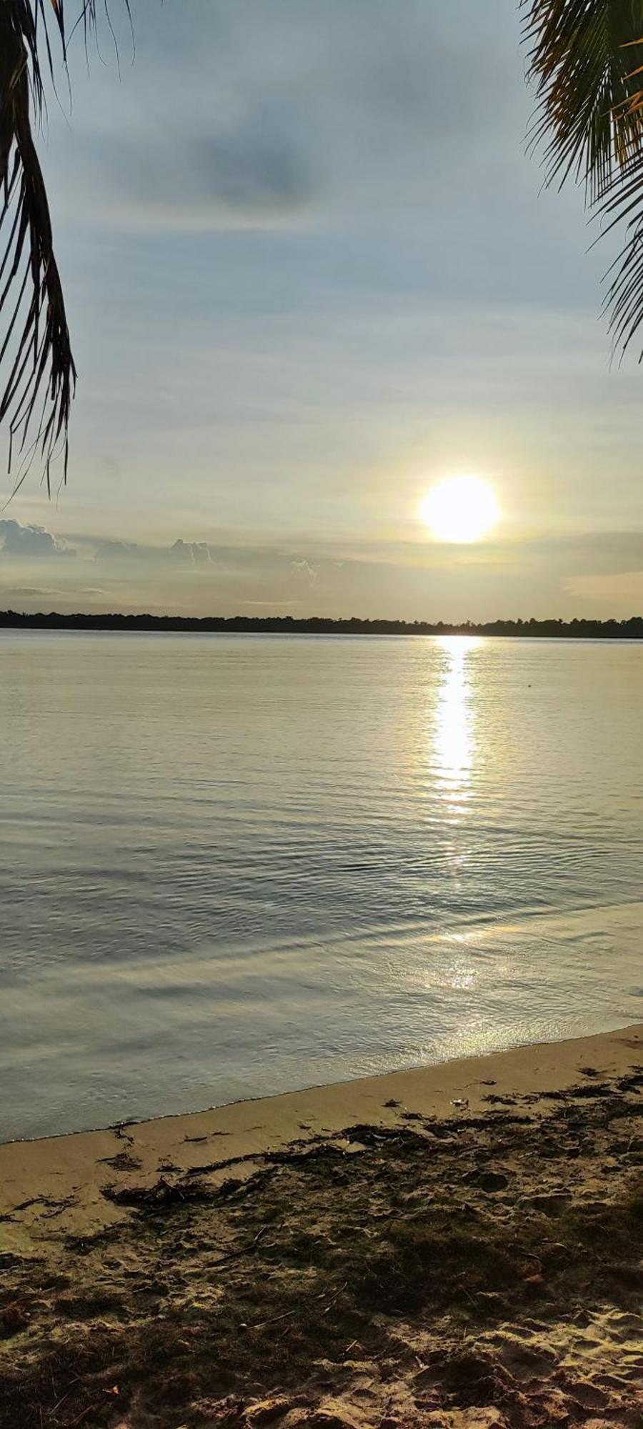 Bambu Lounge Bocas Hostel Bocas Town Dış mekan fotoğraf