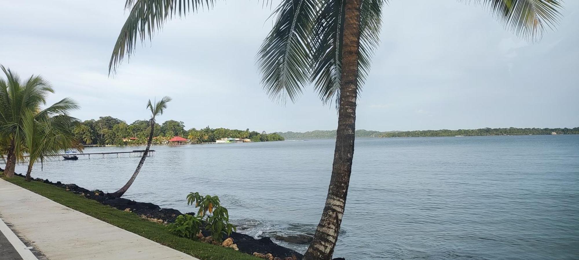 Bambu Lounge Bocas Hostel Bocas Town Dış mekan fotoğraf