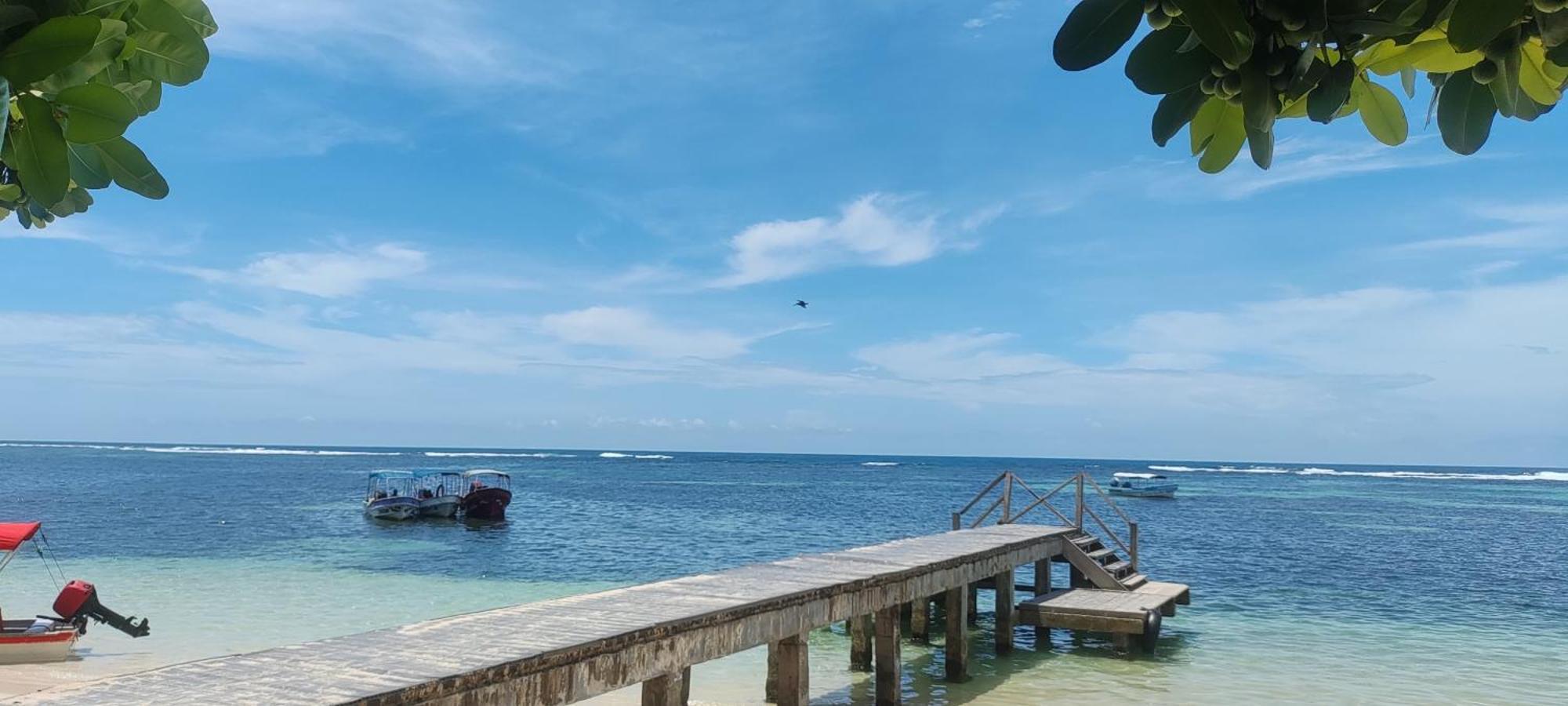 Bambu Lounge Bocas Hostel Bocas Town Dış mekan fotoğraf