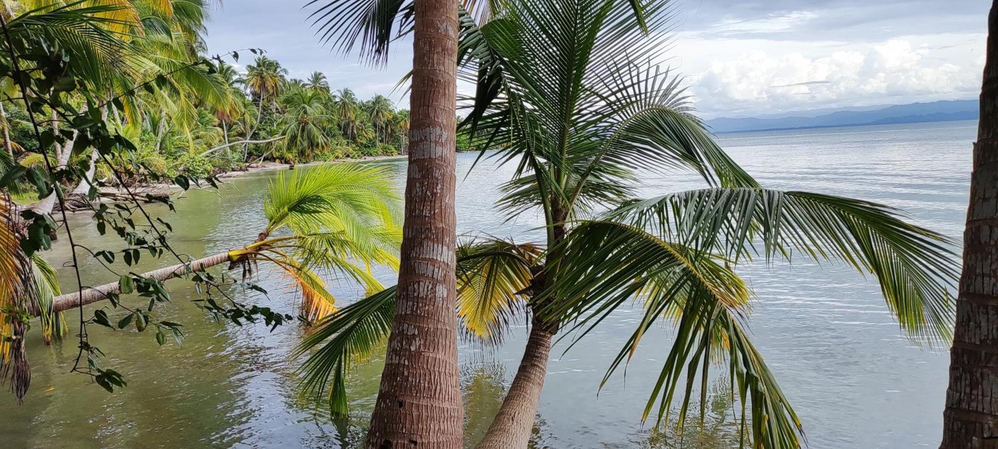 Bambu Lounge Bocas Hostel Bocas Town Dış mekan fotoğraf