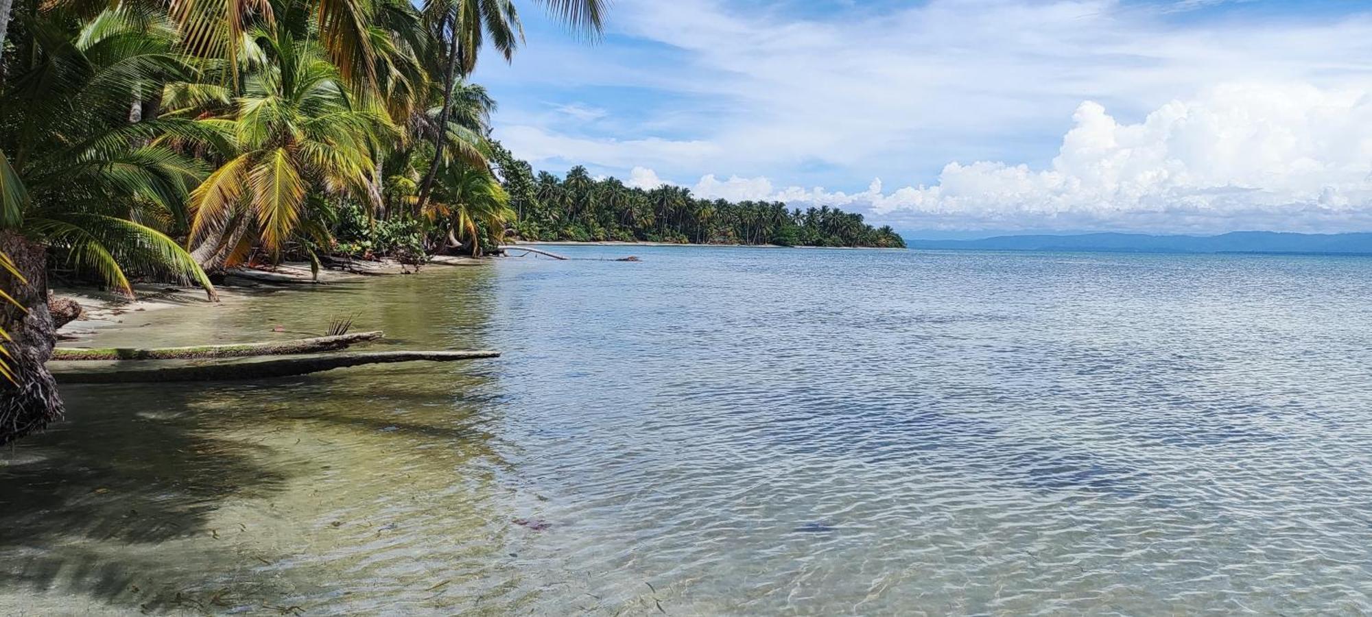 Bambu Lounge Bocas Hostel Bocas Town Dış mekan fotoğraf