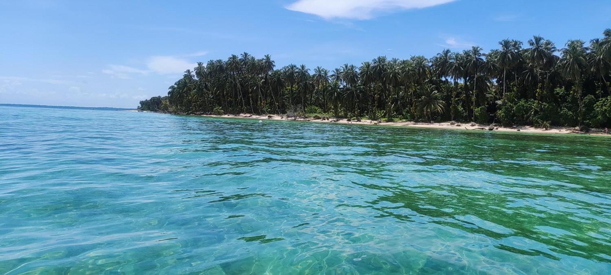 Bambu Lounge Bocas Hostel Bocas Town Dış mekan fotoğraf
