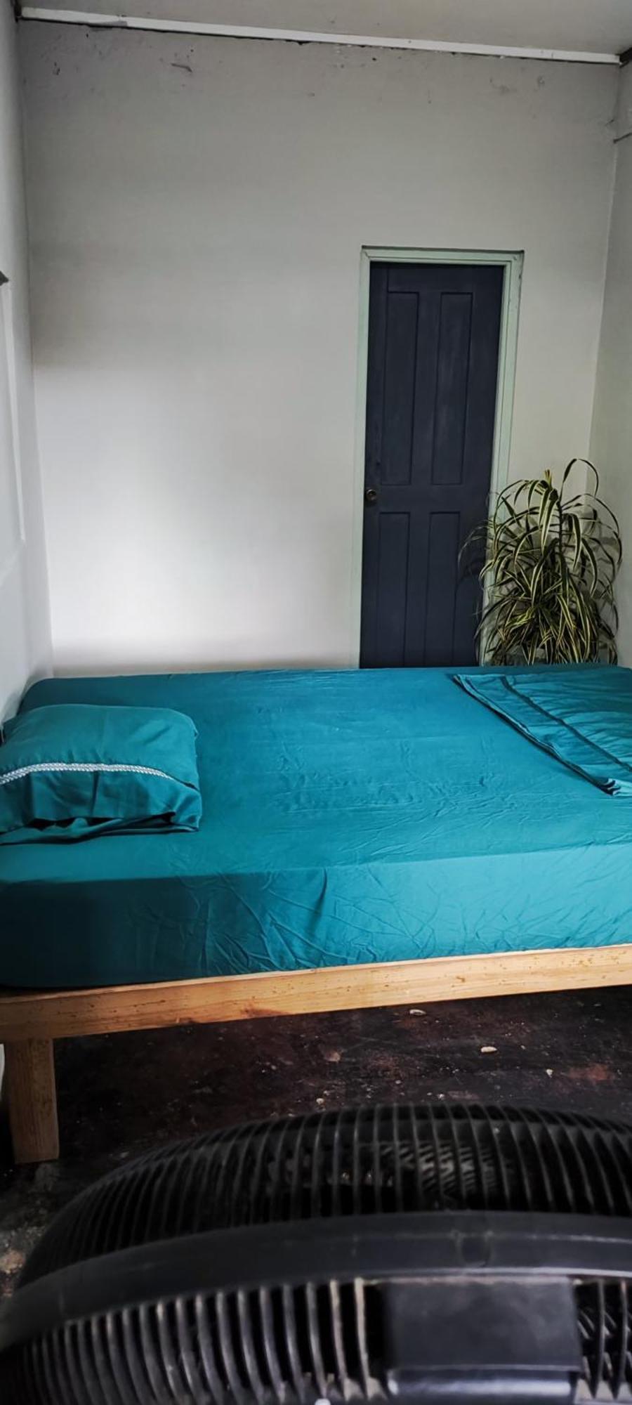 Bambu Lounge Bocas Hostel Bocas Town Dış mekan fotoğraf